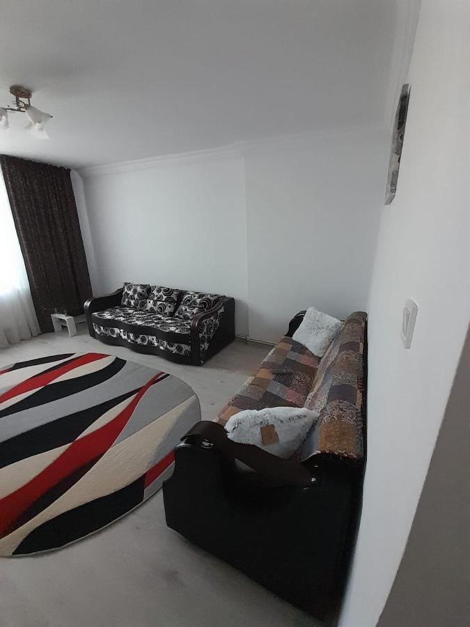 Apartament La Denis Bîrlad 외부 사진