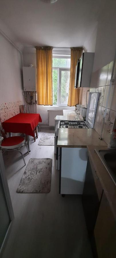Apartament La Denis Bîrlad 외부 사진
