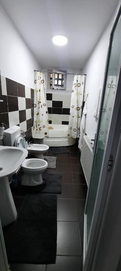 Apartament La Denis Bîrlad 외부 사진