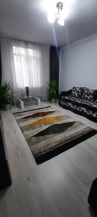 Apartament La Denis Bîrlad 외부 사진