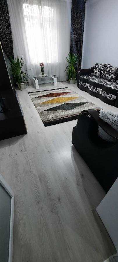 Apartament La Denis Bîrlad 외부 사진